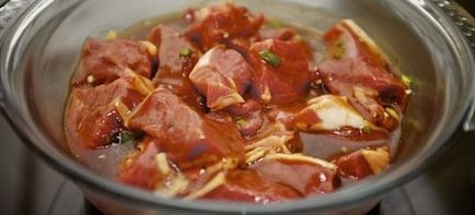 Sosul pentru carnea de vită - rețete pentru moliciunea cărnii pentru grătar, se coace în cuptor și prăjirea fripturile