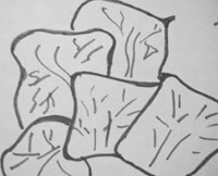 Cioplirea de legume (imagine pe tăierea din stânga) Carving de legume