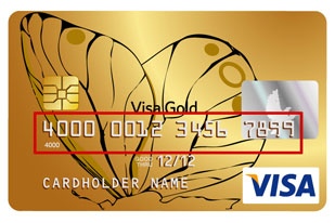 Numărul cardului de credit Visa și MasterCard
