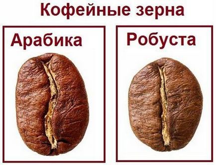 Diferențele dintre Arabica și Robusta