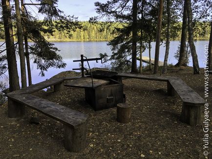 Parcul Repovesi în Finlanda faq și experiența personală