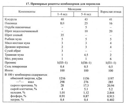 Prepelita de afaceri de afaceri plan de prepeliță de fermă, calcule, documente, vânzări