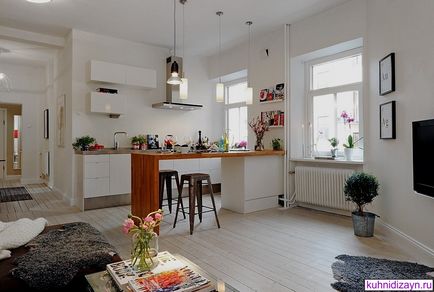 plan de bucătărie într-un apartament studio - modul de a face 25 fotografii