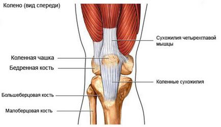 De ce doare genunchii ca un tratament și care este motivul