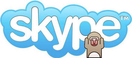 De ce nu auzi interlocutorul în Skype, ce să fac dacă nu aud
