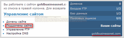 site-ul subdomeniu