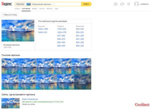 Căutare după imagine, imagini, fotografii în Yandex și Google
