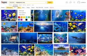 Căutare după imagine, imagini, fotografii în Yandex și Google