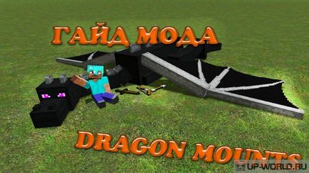 ghid complet pe mounts dragon de moda - cele mai bune moduri de server