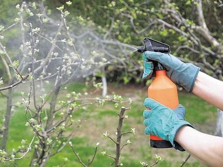 Pregătirile pentru protecția plantelor în grădină de dăunători și boli decât plantele de pulverizare