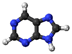 Purine din produs (e) Purine în produsele alimentare