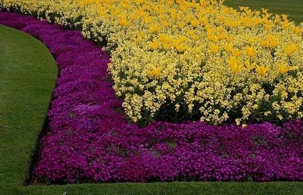 Rabatki revolta de culori în paturi de flori de gradina sau intriga, este o casa de vis