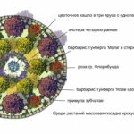 Crestele cu mâinile lor imagine schemă de culori pentru crestele