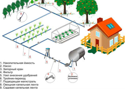 Distribuirea apei la dacha pentru irigarea cu propriile lor mâini