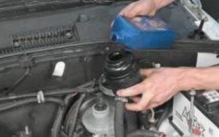 Reparatii „Chevrolet Niva“ cu mâinile lor - ce să se schimbe și cât de des