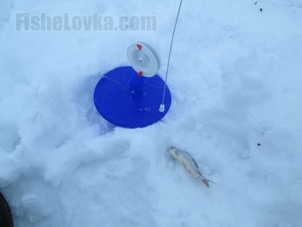 Pescuitul stiuca in secretele iernii zherlitsy de pescuit gheață