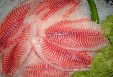 Tilapia pește - beneficiu și rău, care se găsește modul de a alege