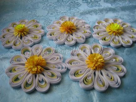 Daisies în tehnicile quilling