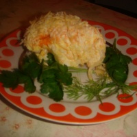 Salata de morcovi - (80 retete) cu fotografii de pe