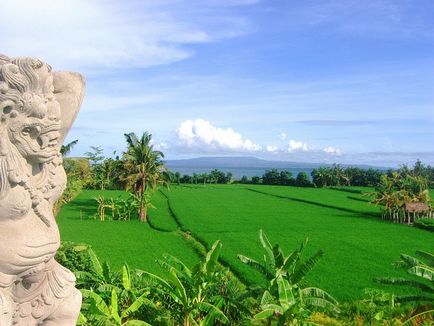 independent de călătorie în Bali