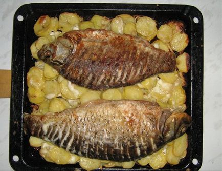 Carp, coapte în cuptor pentru cele mai bune rețete de pește suculent și gustoase în folie
