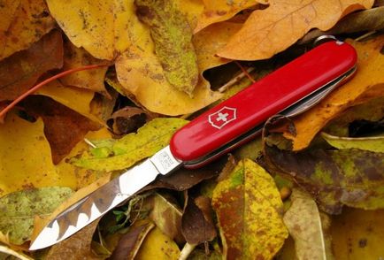 Elvețian Army Knife - viață, istorie, recenzie de fotografie, ziarul meu (poveste) Elvețian Army Knife - viață, istorie, recenzie de fotografie, ziarul meu