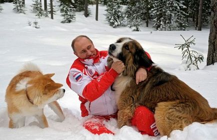 câinele lui Putin ce rasa lui nume, fotografie, porecla