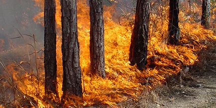 Vis carte pentru a scăpa de foc ce vise fugi de foc într-un vis