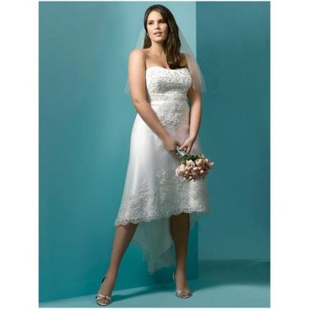 rochii de nunta pentru mirese pline de fete (127 poze) 2017 trim, tăieturi scurte, care