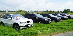 procesiune de nunta toyota