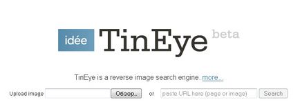 TinEye - imagini unice de căutare, imagini, fotografii (serviciu și a motorului)
