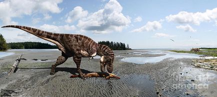 Tyrannosaurus Rex - Tyrannosaurus rex Tyrannosaurus dinozauri imagini Tyrannosaurus Rex, Tyrannosaurus fotografie (dinozaur) Tyrannosaurus Rex - Tyrannosaurus rex Tyrannosaurus dinozauri imagini Tyrannosaurus Rex, Tyrannosaurus în fotografie
