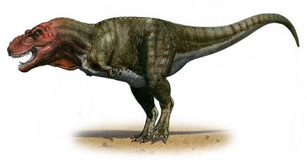 Tyrannosaurus Rex - Tyrannosaurus rex Tyrannosaurus dinozauri imagini Tyrannosaurus Rex, Tyrannosaurus în fotografie