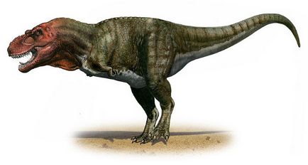 Tyrannosaurus Rex - Tyrannosaurus rex Tyrannosaurus dinozauri imagini Tyrannosaurus Rex, Tyrannosaurus fotografie (dinozaur) Tyrannosaurus Rex - Tyrannosaurus rex Tyrannosaurus dinozauri imagini Tyrannosaurus Rex, Tyrannosaurus în fotografie