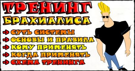 Anatomia de formare brahial, caracteristici funcționale, cum să tren brahial, căruia i (brahial) Anatomia de formare brahial, caracteristici funcționale, cum să tren brahial, căruia i