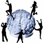 Loviturile la cap sunt înregistrate pe creier și memorie