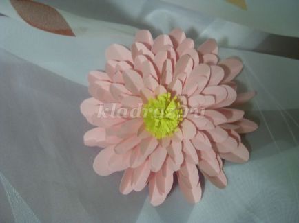 decor de perete cu flori de hartie cu mâinile (perete) decor de perete cu flori de hîrtie cu propriile mâini