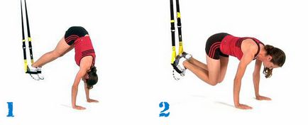 Exerciții pe presa de jos 14 exerciții pentru a pompa presa de jos (presă) Exerciții pe presa de jos 14 exerciții pentru a pompa presa de jos