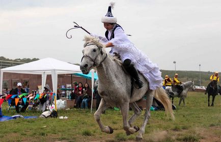 Tipuri de liste de echitație de sport și descrierea caii mei