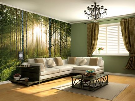 Tipuri de tapetului două tipuri de fotografie, design-tapetare pereti diferite, cât de frumos băț, opțiuni și