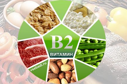 Vitamina B2 (riboflavina) - efecte asupra organismului, beneficiile și efectele negative, descrierea