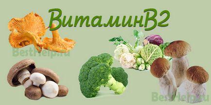 Vitamina B2 (riboflavina) - ce este, ceea ce este necesar, impactul deficitului