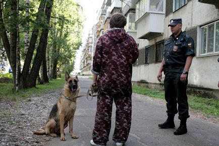 Toate botnițe pentru câini cum de a alege, cum să te facă cum să învețe și fotografii