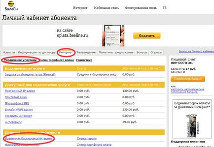 Intrarea la Beeline de internet acasă din contul personal, managementul de servicii