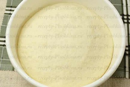 pâine Custard în cuptor - o rețetă simplă pentru pâine albă