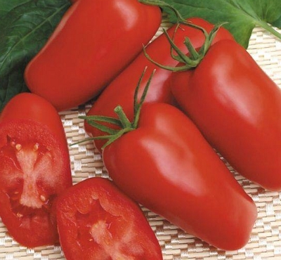 soiuri de tomate rezistente la căldură, cu o descriere și fotografie