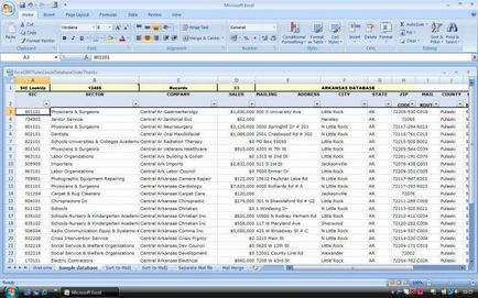Ce este o bază de date în Excel Ce este o bază de date în Excel