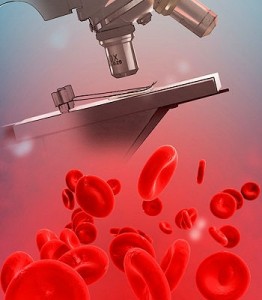 Analiza biochimică a sângelui la rata copilului