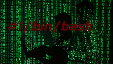 Cum se scrie un script Cum se scrie un script