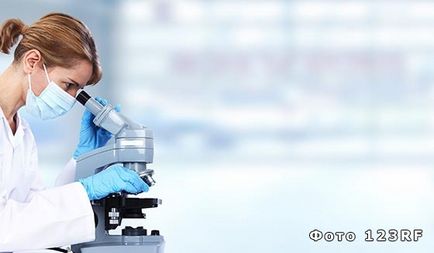 Tulpinile de microorganisme care aceasta este Tulpinile de microorganisme care aceasta este